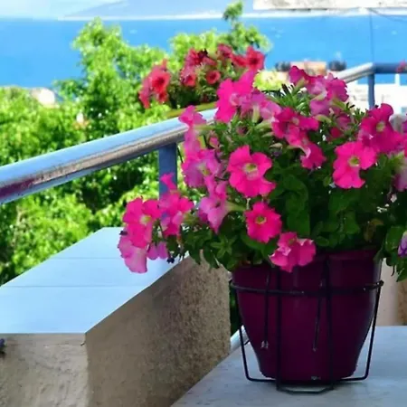 Konstantinos Τολό